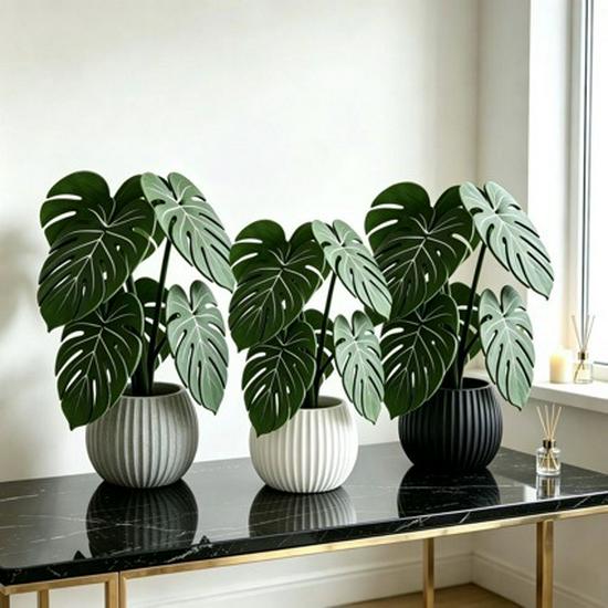 Monstera Leaf Coaster: Creative Table Centerpiece with Simulated Green Potted Plant Leaves