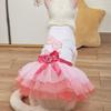 Dog Summer Dress Cat Lace Skirt Pet Clothing Chihuahua Stripe Skirt Puppy Cat Princess Apparel Cute Puppy Clothe Dog Accessories
