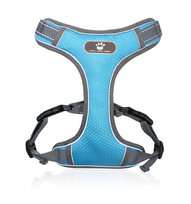 Astro Blue Training Harness For Walking Dogs, Size Xl