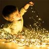 100M 500 LED Outdoor Christmas LED String Light Fairy Light Waterproof Black Cable Holiday Garland Light Patio Garden Decor