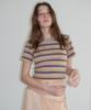 Obeodyupeulleeo Stripe Crop T-Shirt_Melange Gray