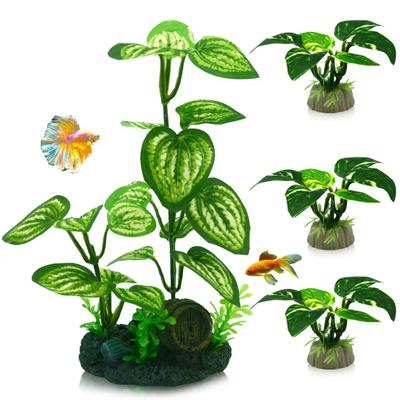 Vissen en zeedieren – Aquarium decoratie