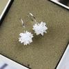 Europe 925 Silver Lucky Glowing Crystals from Austrian Earrings With Charm for Women Wedding Jewelry