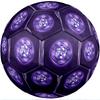 Austria Wien FC Size 5 Standard Football Durable Training Match Soccer Ball for Adult Outdoor Sports