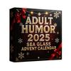 Sea Glass Accents 2025 Adult Humor Advent Calendar 24 Days Countdown Calendar with Funny Christmas Jokes Holiday Gag