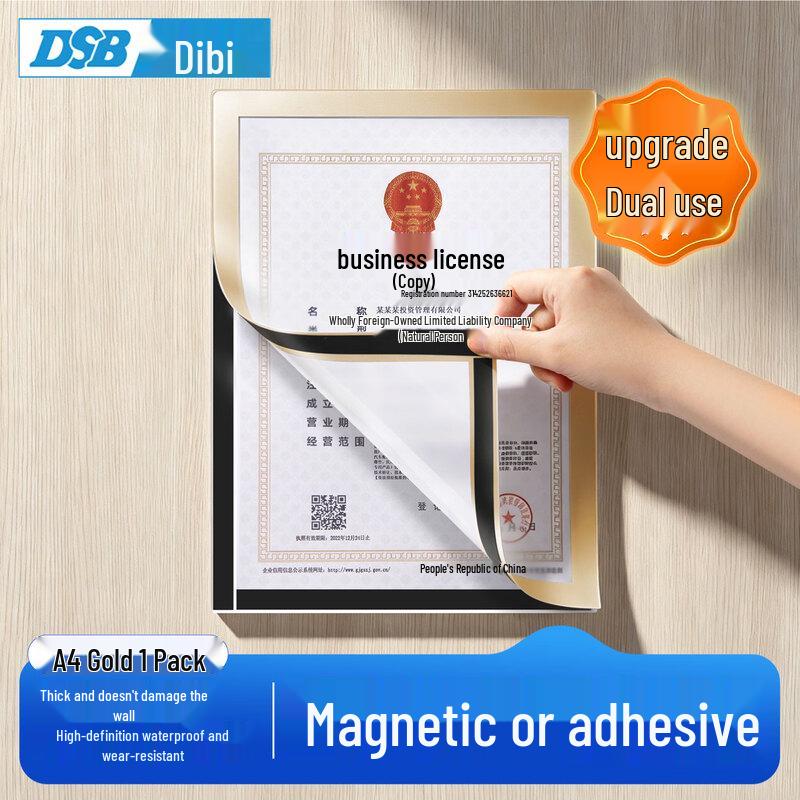 DSB A4 Magnetic Document Display Frame