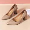 Fashion Fashion Single Shoes Women's Thick Heel Autumn New Pointed Work Shoes