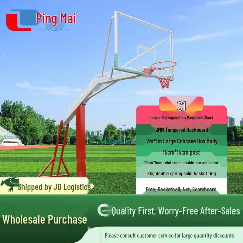 Pingmai Portable Basketball Hoop