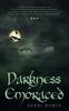 Buch Darkness Embraced