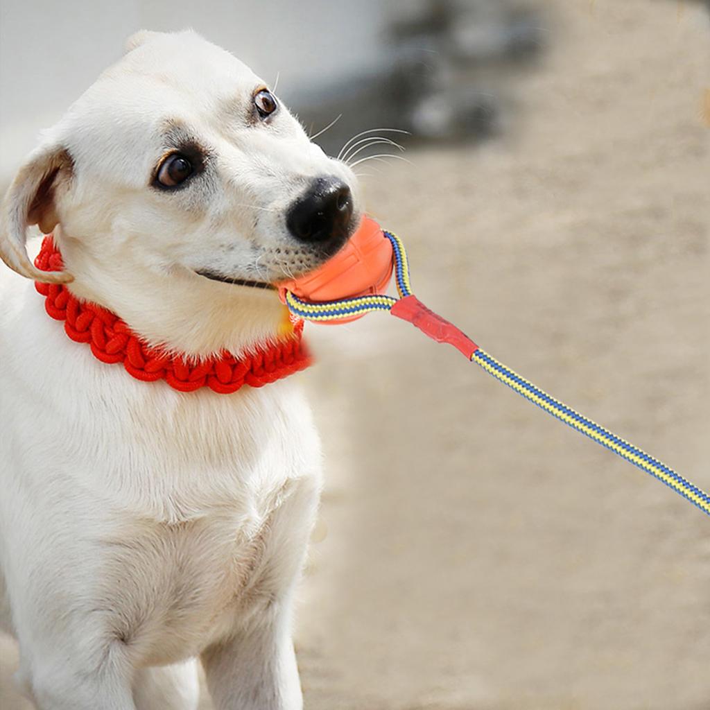 Portable EVA Pet Dog Training Bite Resistant Interactive Chew Toys with Rope(Red)