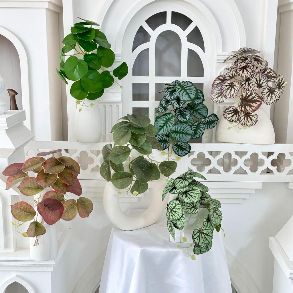 Faux Green Plants With Colocasia Leaves For Home Staging And Photo Props