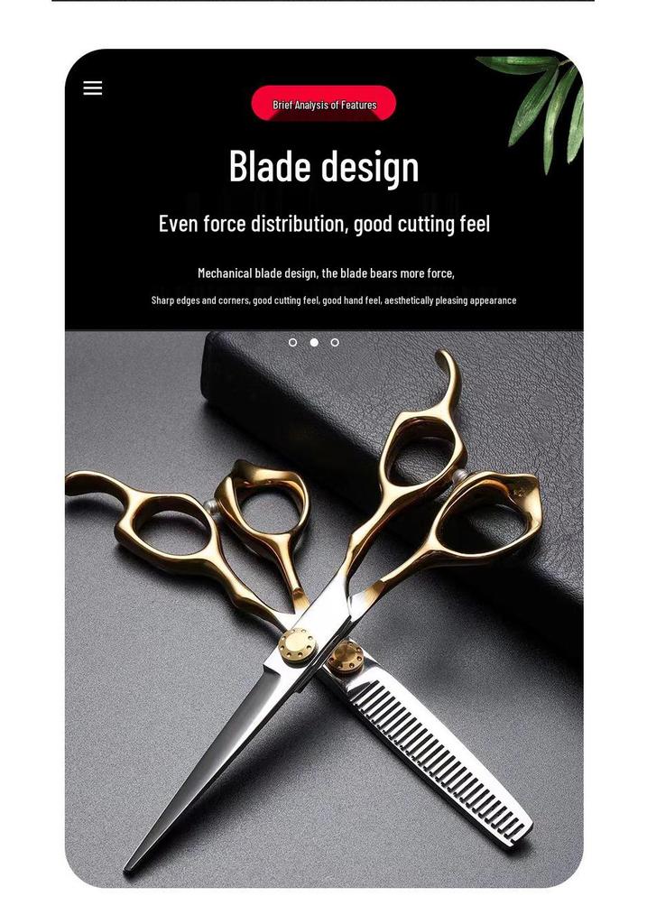 6-Inch Professional Hairdressing Scissors & Thinning Shears Set