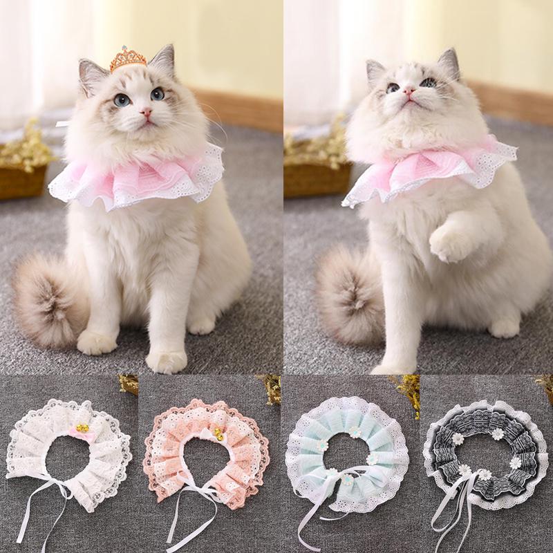 lace cat collar