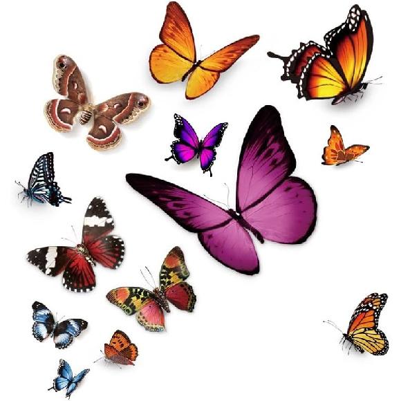 Butterfly Vinyl Car Stickers, Butterflies ect Scratch Cover Waterproof Bumper Decals for Automotive, Motorcycle, Helmet, Luggage, Window, Wall, Home