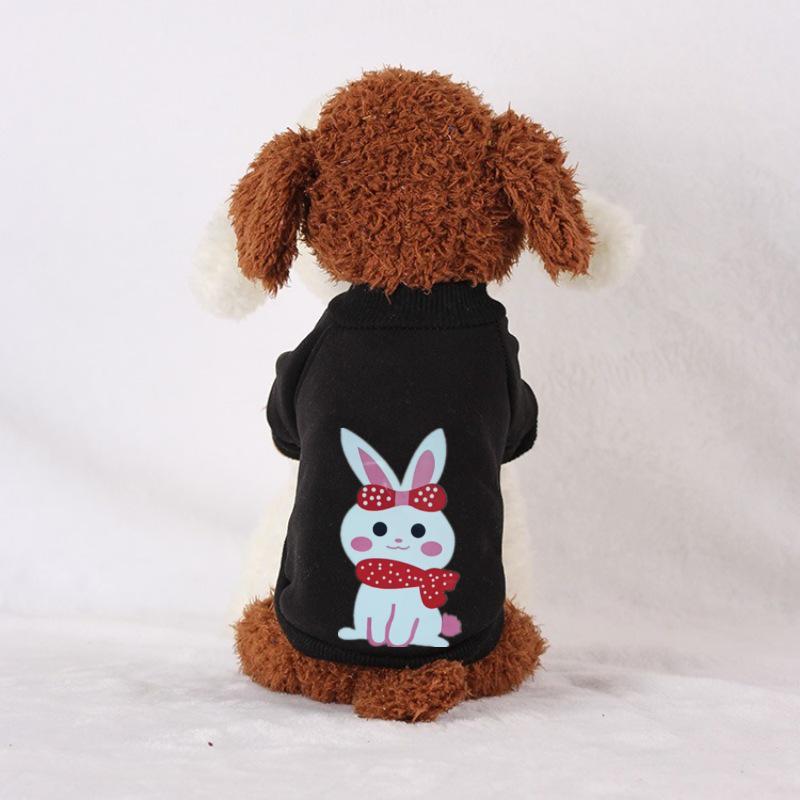Autumn & Winter Sweatshirts for Cats and Dogs - Two-Legged for Teddy, Corgi, Bichon, Small Dogs, Puppies, and Cats.