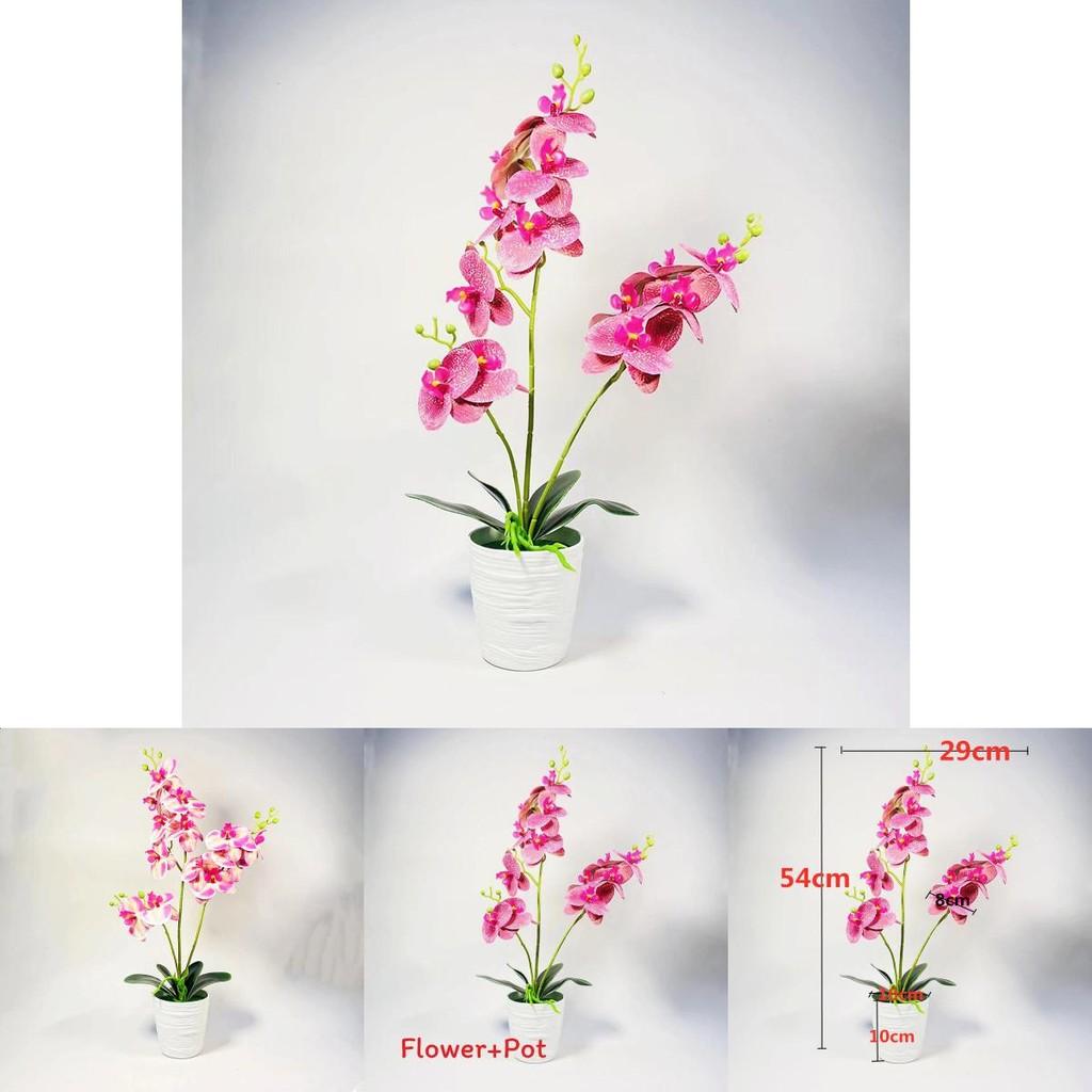 Phalaenopsis Artificial Plant With Pvc Material For Home Decor And Gift Presentations