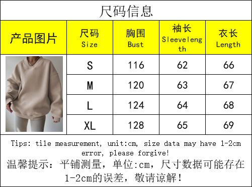 Women's Long Sleeve Crew Neck Sweatshirt Fall Loose Solid Color Casual Pullover Top Plus Size