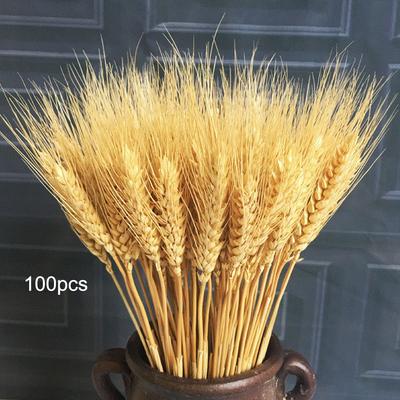100PCS Realistic Wheat Ears Bouquet Dried Wheat Sheaves Bundle Photography Props for Wedding