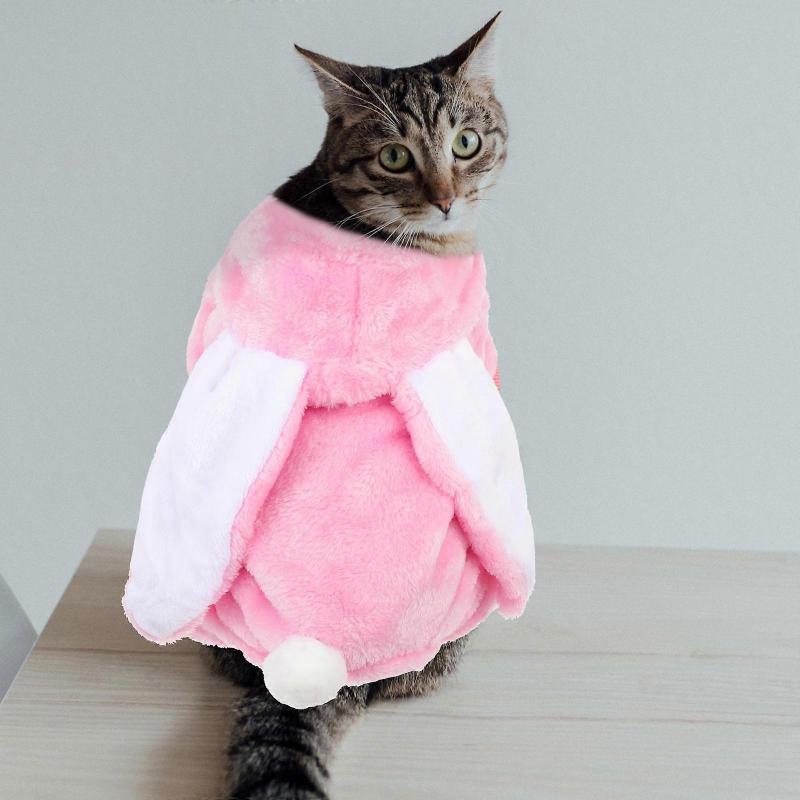 Pet Clothes Coral Fleece Warm Rabbit Ear Costume for Small Dogs 3Pcs