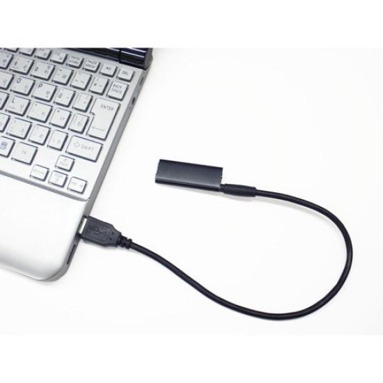 IC recorder Ultra-compact Kotsubu-kun IC-U04