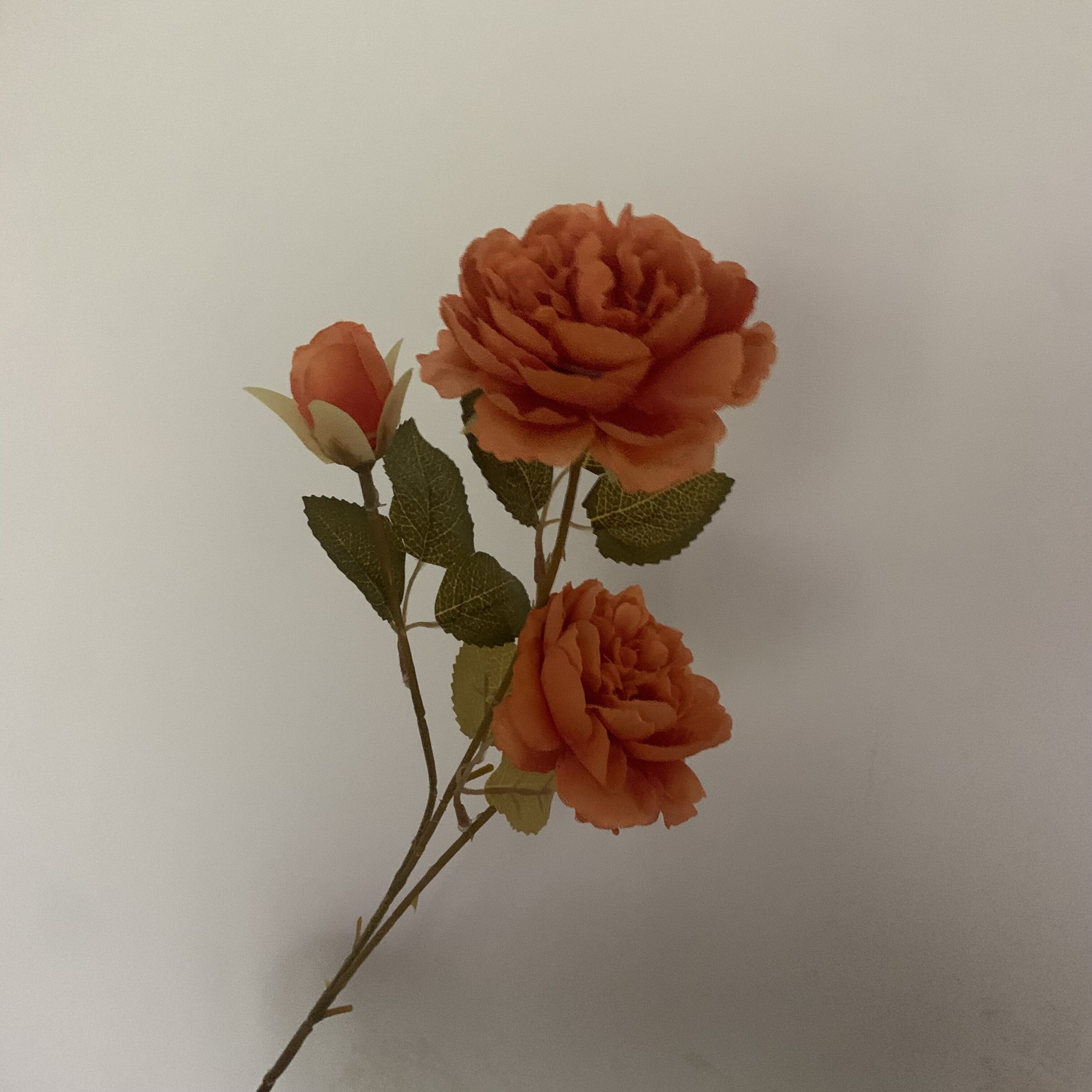 

3heads peony Artificial flower Silk Peony Burnt Orange Brown Caramel Wedding Decoration Table Living Room Flower Fall Decor