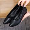 Fashion Moccasins Pointed Toe Ladies Pumps Chunky Heels Block Heel Low Elegant Women's Shoes Office Shoe Summer 2025 Quick Delivery Chic