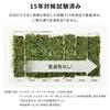 IRIS OHYAMA Domestic Artificial Grass 1m x 10m Grass Length 3cm Mildew Resistant Comes with 16 U-shaped pins Balcony Garden Soft texture and real touc
