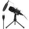 Portable  Handheld Mic Machine Home Party Birthday tphone Widely Use  Vocal Presentation Round Filter