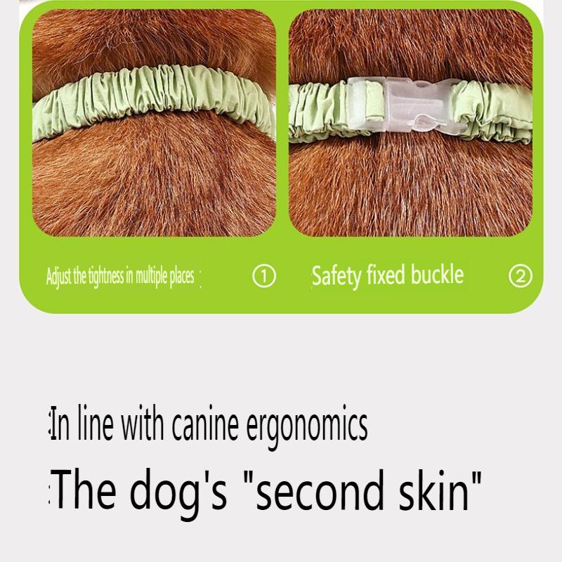 Elastische Hundekleidung, schmutzabweisend für den Ausflug, und haarendschützende Kleidung