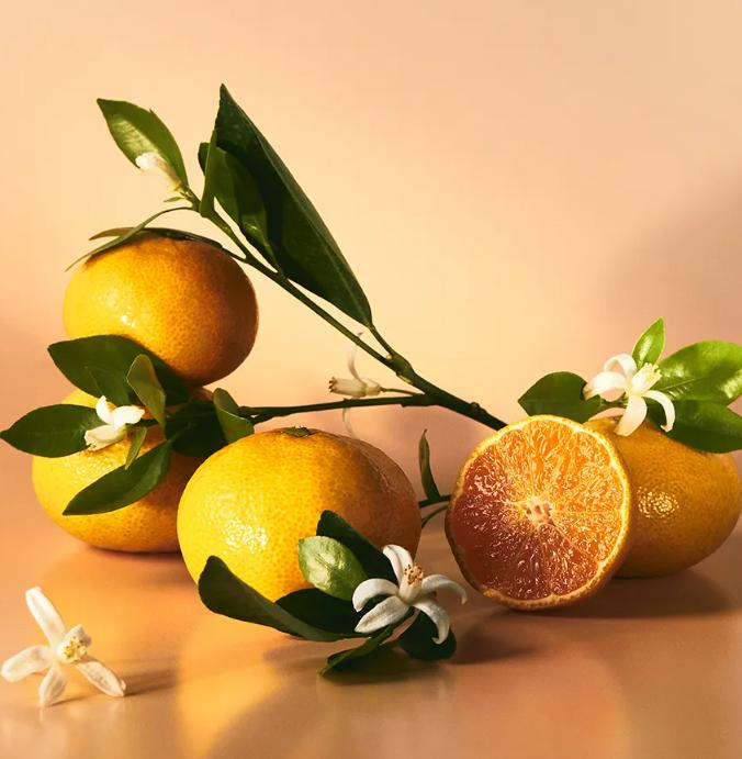 Osulloc Woojatdam mit Mandarinenblütenaroma – 3 einzeln verpackte Teebeutel