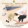 Archnote Pug Novelty Dog Funny Humorous with Poop Beige Goods, Items, Figurine, Goods, Items, Design,