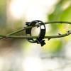 Clip di Supporto per Piante in Plastica Riutilizzabile, Clip da Giardino per Pomodoro, Vite, Fiori d'Uva, Steli di Verdura, Presa Sicura, Clip di Fissaggio