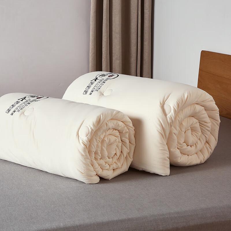 Good Sleep Cotton Soybean Fiber Winter Quilt