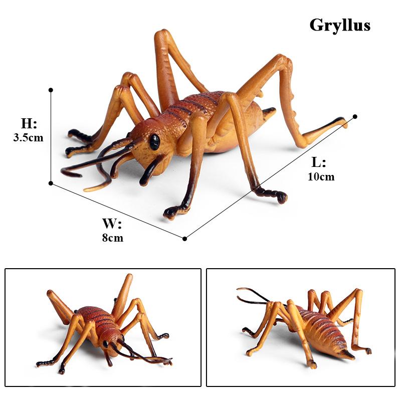 Oenux Simulation Dragonfly Grasshopper Centipede Wild Insect Animals Model Action Figures Miniature Education Collection Kid Toy