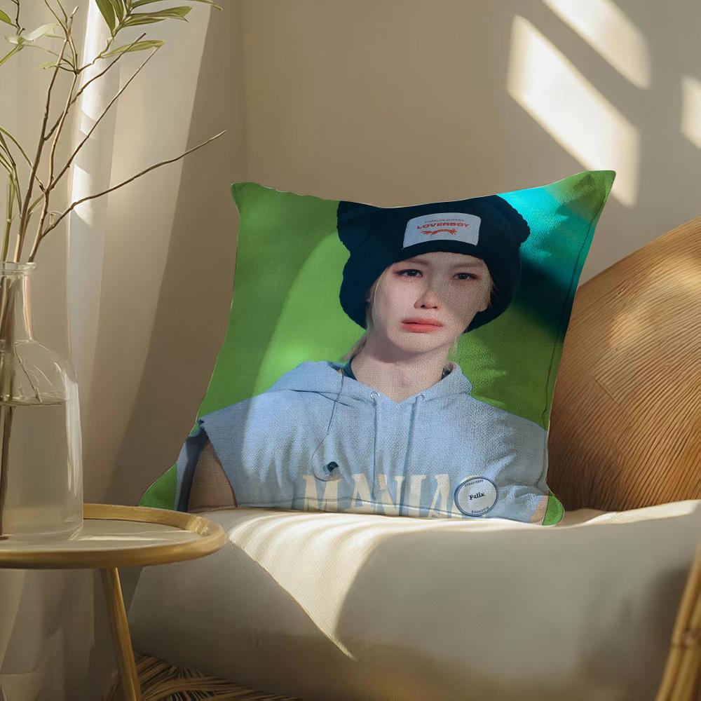 S-Strayskidssf-Felixs Pillow Case Pillowcase, Double-Sided Printed, Sofa Cushion, Bedroom Headboard