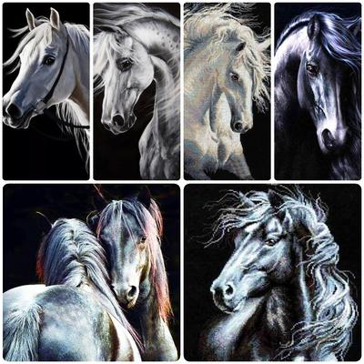 5D fai da te pittura diamante cavallo bianco e nero ricamo diamante strass decorazioni per la casa