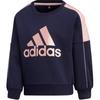 Sweatshirt Navy Blue Teenagers GL1362