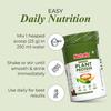Nutrela Green Plant Protein Powder Chocolate 500g Plant Based Protein With Multivitamins Minerals For Muscle Support Fitness Nutrition
