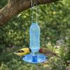 Pássaros – Louça para aves