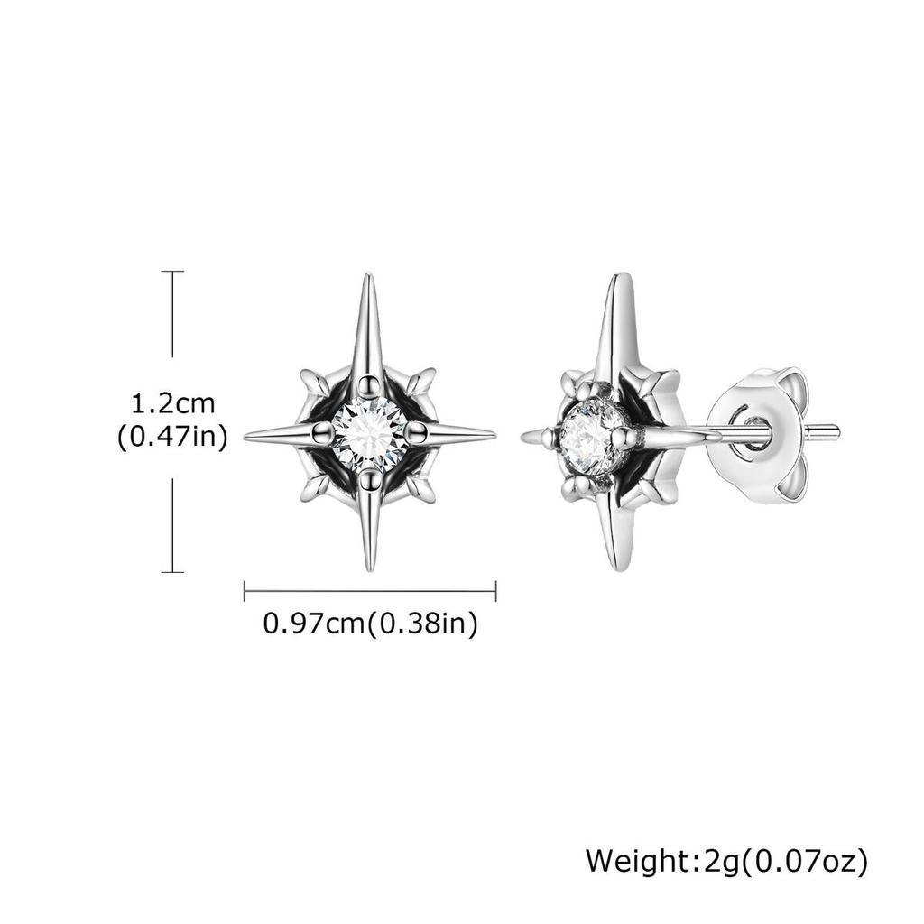 Hip Hop Star Stud Earrings for Men Women,Silver Color Zircon Star Tiny Stud Earrings,Minimalist Ear Hole Care Accessories Gifts