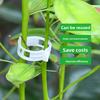 Green Plant Fruit Tree Fixing Clips, Snap-on Seedling Support Poles for Vine Climbing, Fruit and Vegetable Seedling Hanging Clamps