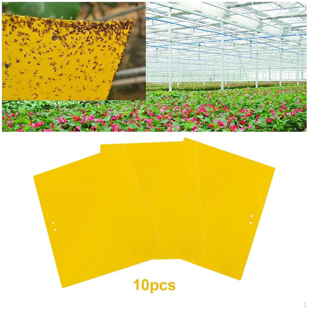 Outdoor Sticky s Fly Catcher Bug Fruit Gnat