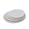 ZHISHI 10.25-inch Ceramic Flat Dinner Plates (4-Pack)
