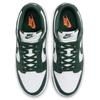 Nike Dunk Low 'Michigan State' Skate Shoes Sneakers DD1391-101