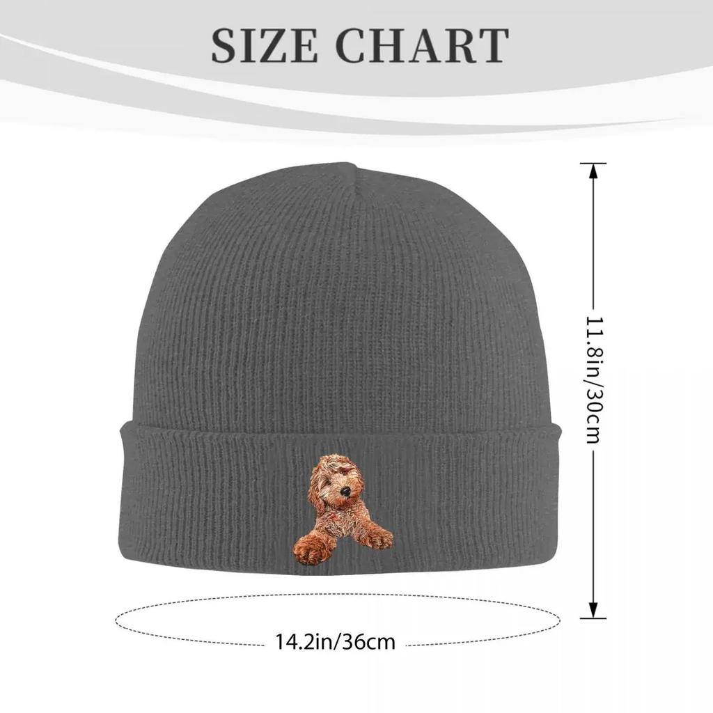 King Boo Warme Strickmütze Hip Hop Beanie Mütze Herbst Winter Outdoor Mützen für Unisex Damen Erwachsene