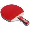Double Fish 2-Star Table Tennis Racket