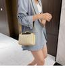2025 Spring/Summer Women's Trendy Korean Style Straw Woven Crossbody Bag