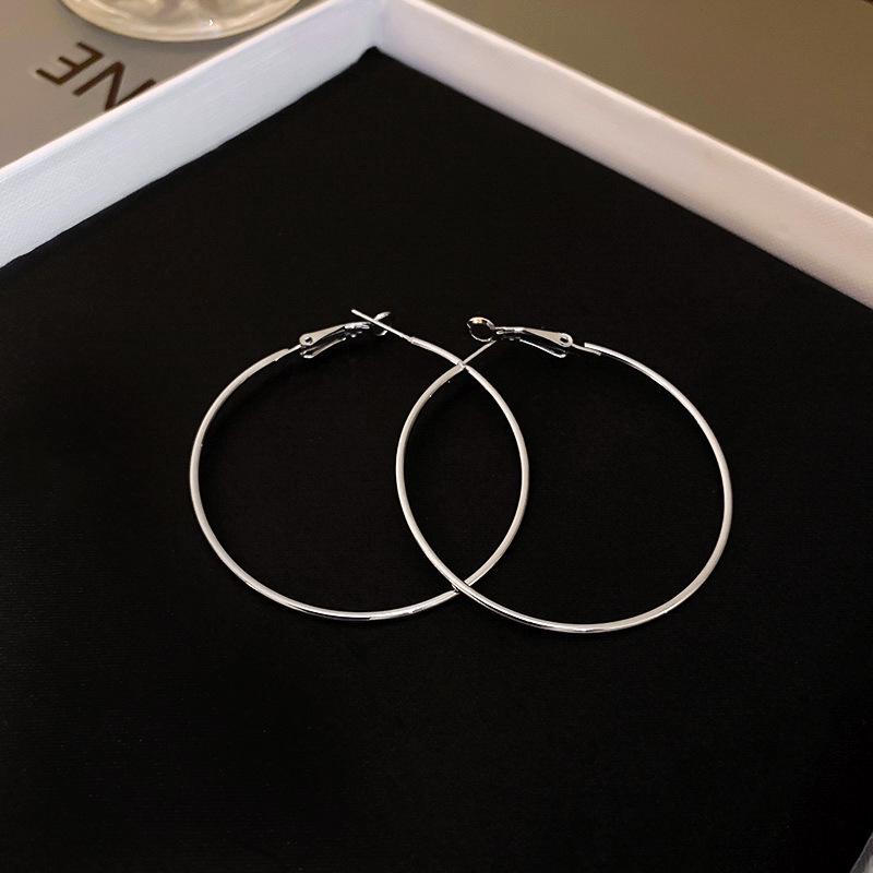High-End Light Luxury Cold-Style Metal Hoop Earrings