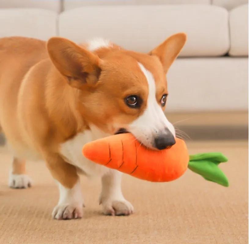 

Giant Carrot Dog Toy with Sounds Extra Large 29.5 Durable Plush Chew Toy Anxiety Relief Calming Puppies Adult Dogs Pet Supplies