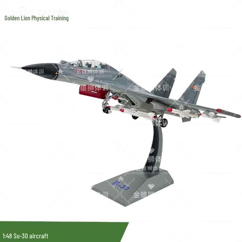 Золотой Лев Су-30 1:Модель истребителя в масштабе 48